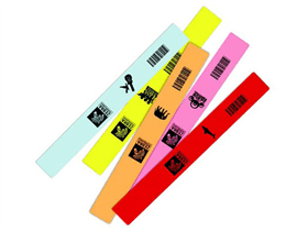 Zebra Z-Band Fun